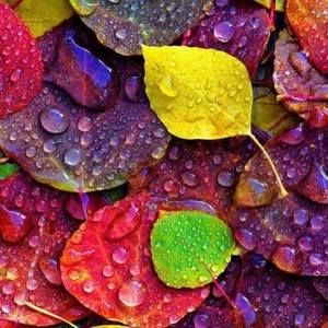 Meet your Posher, Tamara