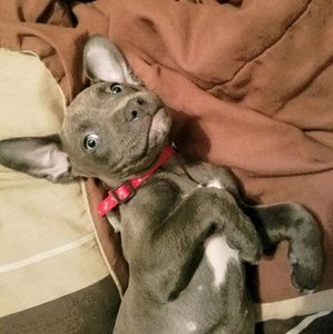 Meet your Posher, Justin