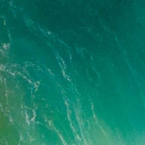 Meet your Posher, Jackson