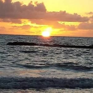 Meet your Posher, Fredy