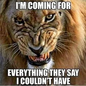 Meet your Posher, Antwan