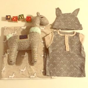 Nate Berkus Llama baby bundle