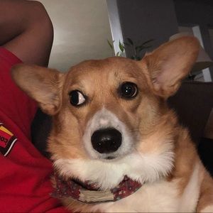 Meet your Posher, Andrew