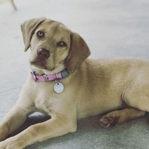 Meet your Posher, Yosemary