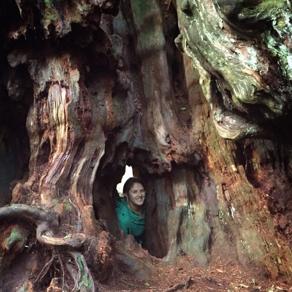 Meet your Posher, Haley