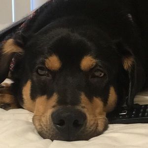 Meet your Posher, Candice