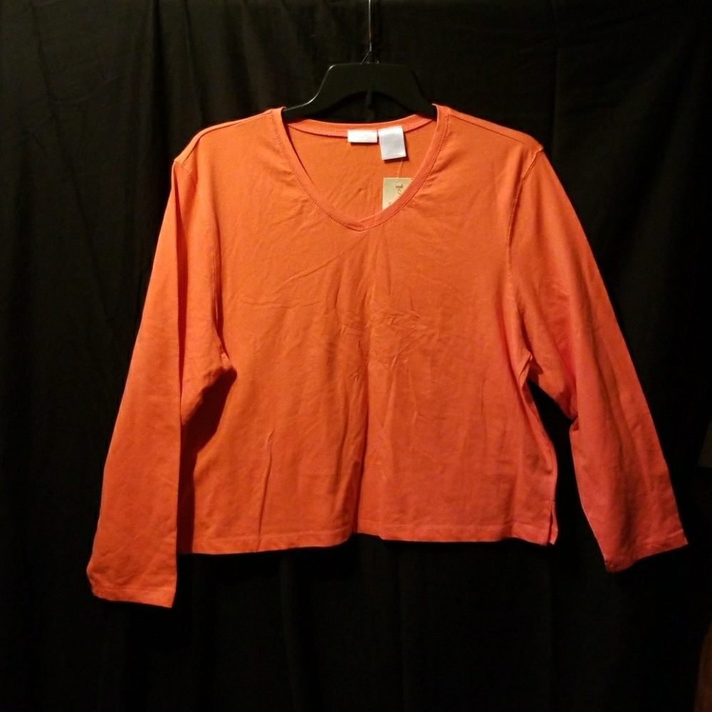 Long Sleeve Vneck top