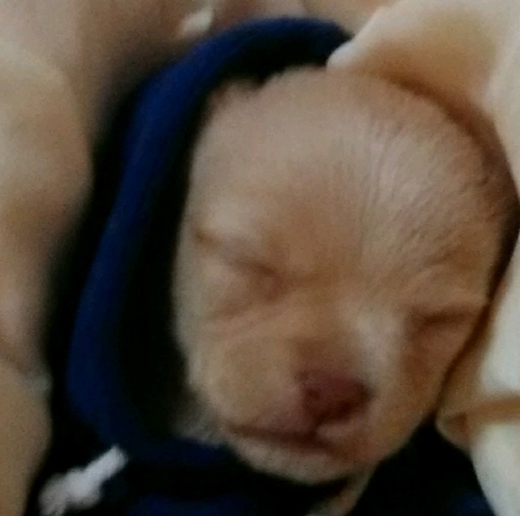 Meet your Posher, Lynda - Picture 1 of 1