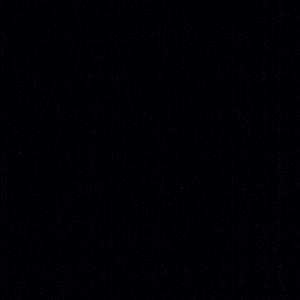 Meet your Posher, Lonnie