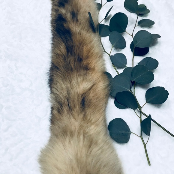 Authentic Real Fox Pelt / Stole - Picture 5 of 5