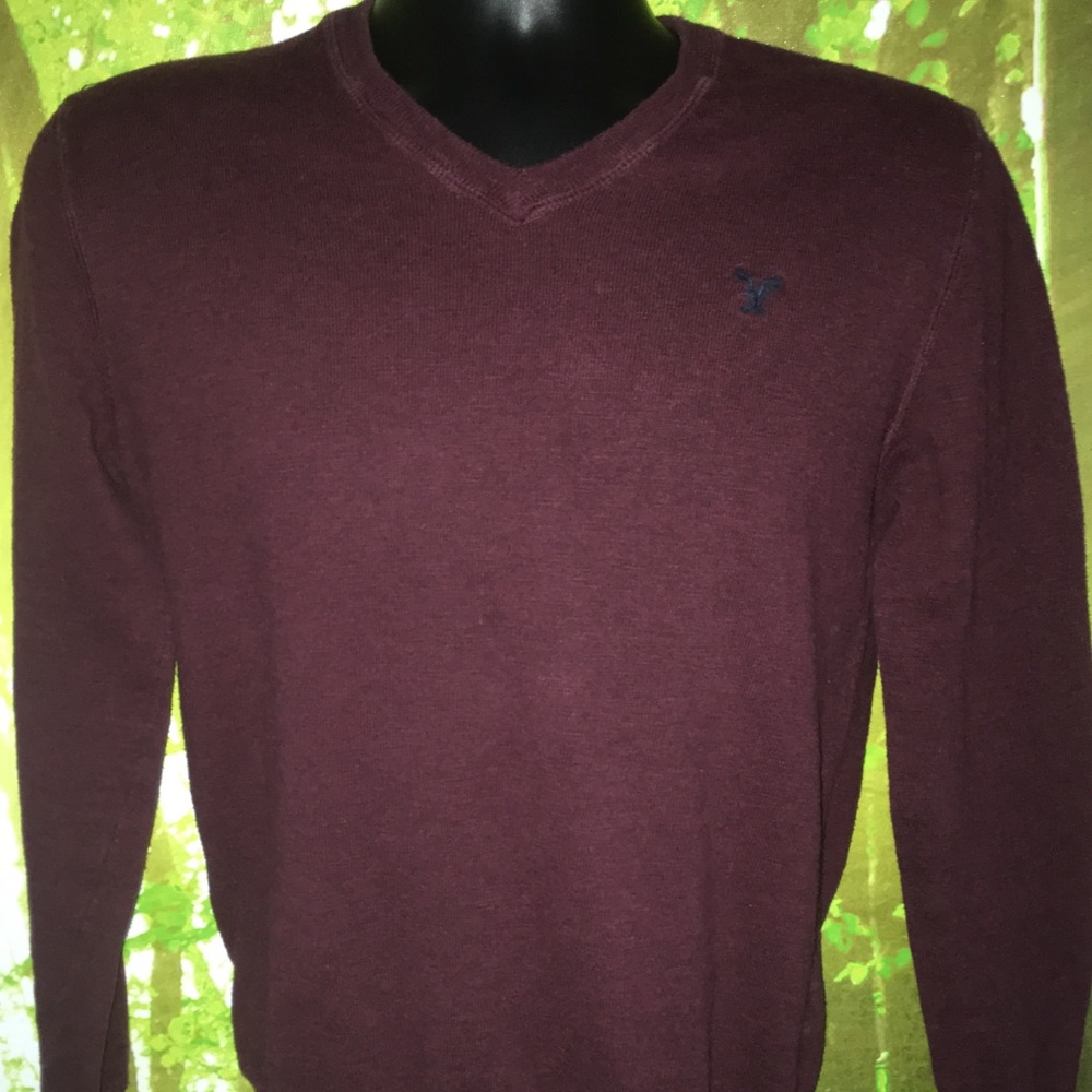 Men’s Small American Eagle V-Neck Sweater