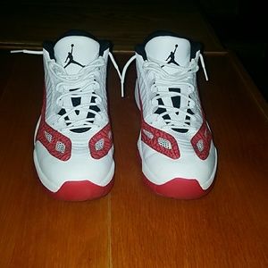 Air Jordan 11 1E