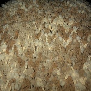 Meet your Posher, Maha