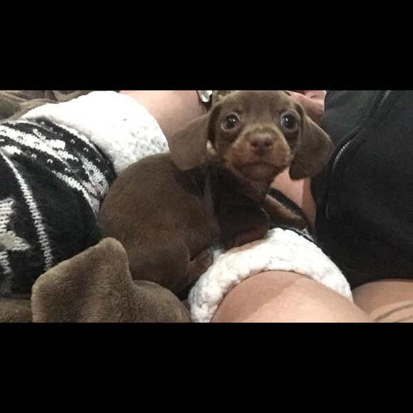 Meet your Posher, Pat - Picture 1 of 1