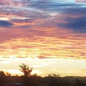 Meet your Posher, Nicollette