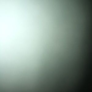 Meet your Posher, Manu