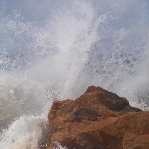 Meet your Posher, Brett