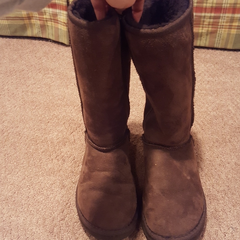 Tall Classic Uggs in Brown