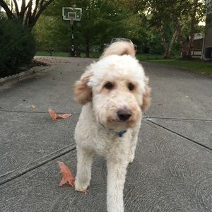 Meet your Posher, Katelyn