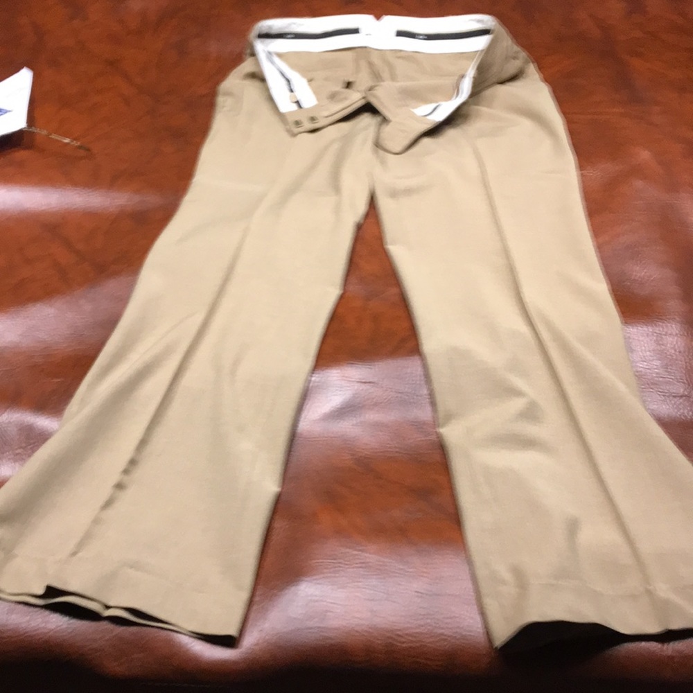 Ann Taylor Loft dress pants