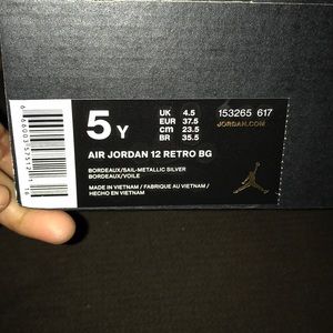 AIR JORDAN 12 RETRO BG