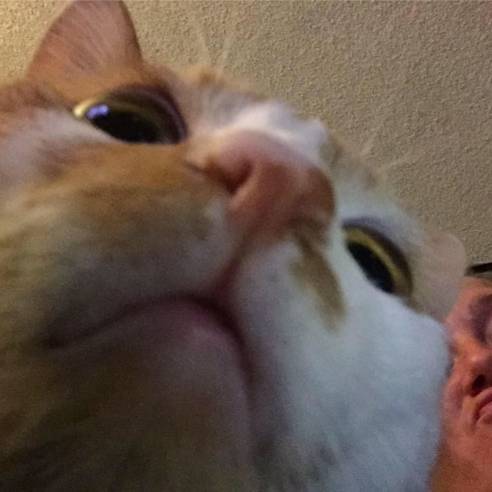 Meet your Posher, Desiree