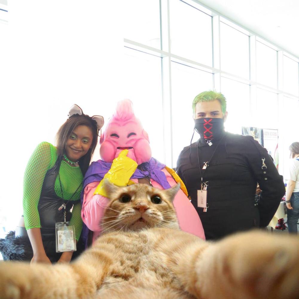 Meet your Posher, Jamie