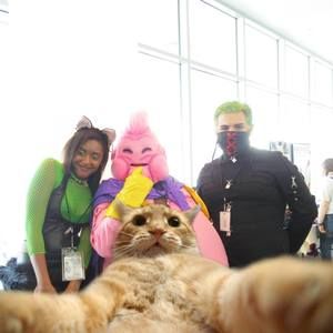 Meet your Posher, Jamie