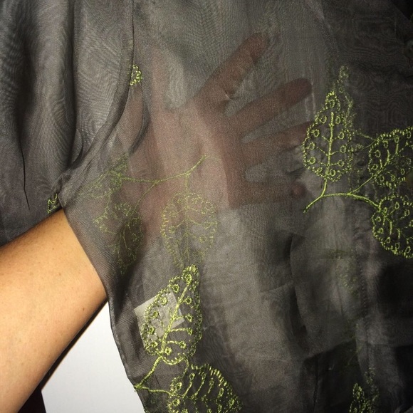 NWT Sheer Embroidered Dress by Patina - Picture 3 of 4