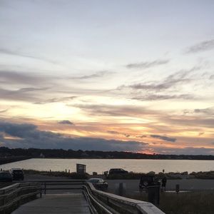 Meet your Posher, Callie