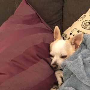 Meet your Posher, Carrie