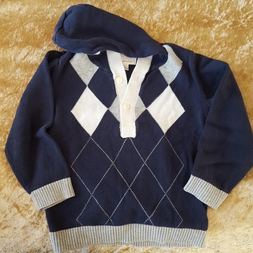 Argyll sweater hoodie
