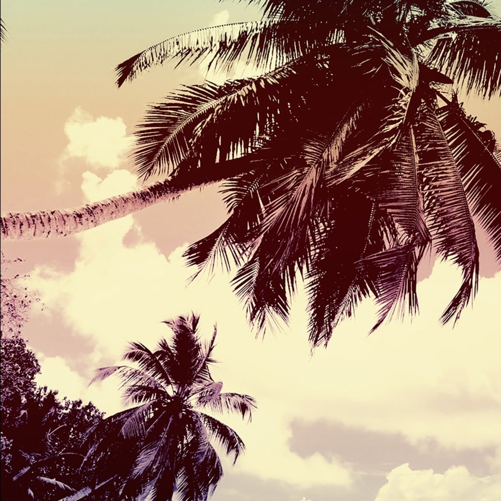 Meet your Posher, Angelique