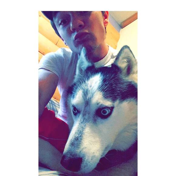 Meet your Posher, Joey - Picture 1 of 1