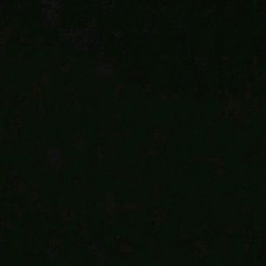 Meet your Posher, Dee