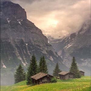 Meet your Posher, Connor