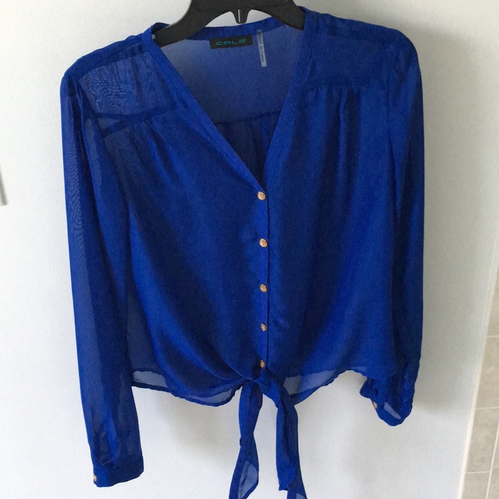 Cobalt blue sheer top.