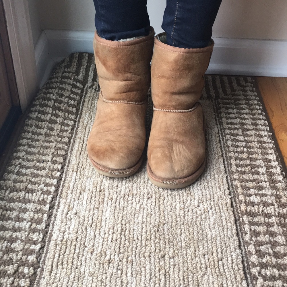 Short Chestnut Uggs