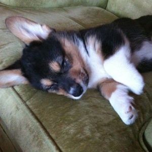 Meet your Posher, Johna