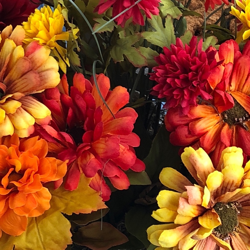 Meet your Posher, Josh