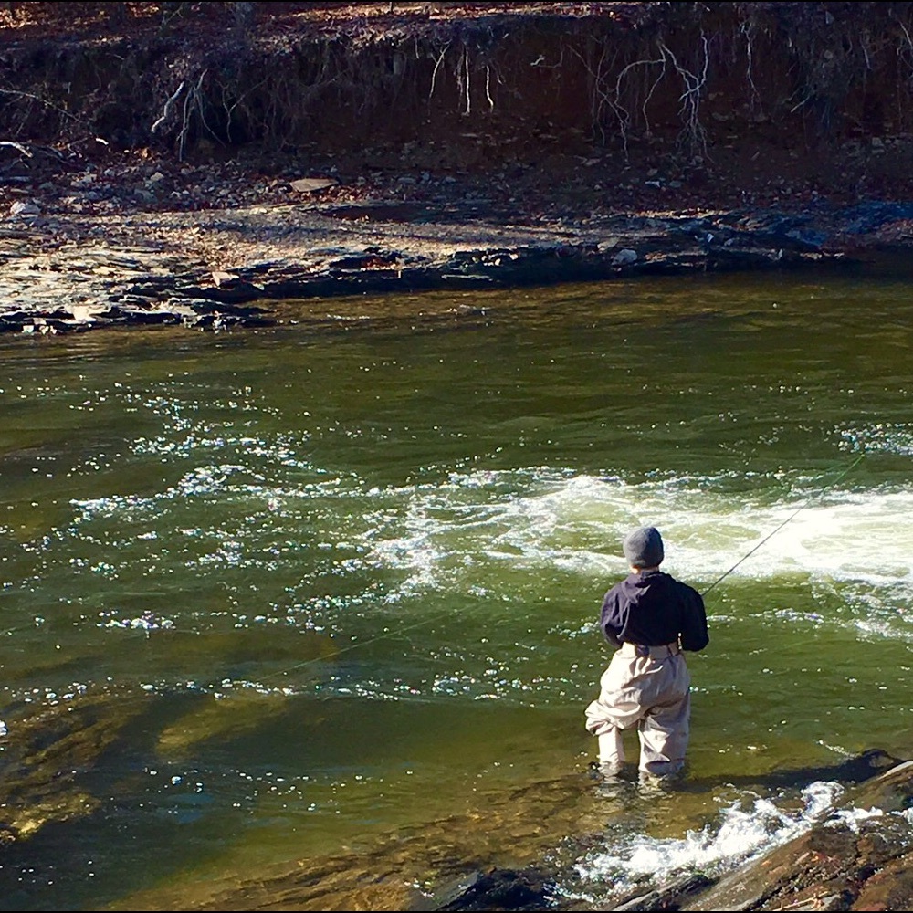 Meet your Posher, Jake