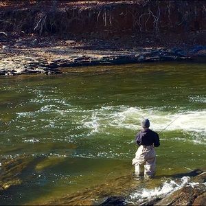 Meet your Posher, Jake