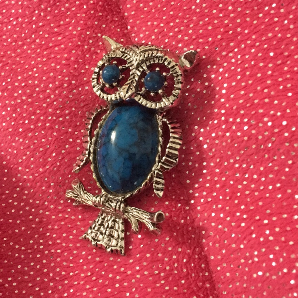 A owl pin