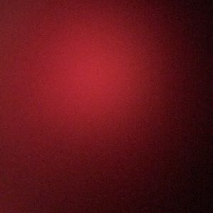 Meet your Posher, Bobby