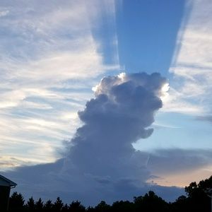 Meet your Posher, Janice