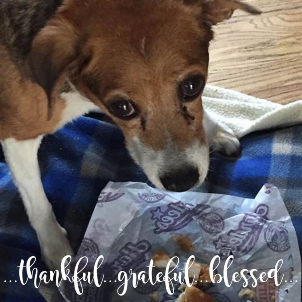 Meet your Posher, Teresa