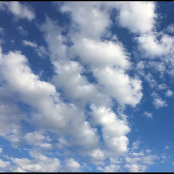 Meet your Posher, Jade - Picture 1 of 1