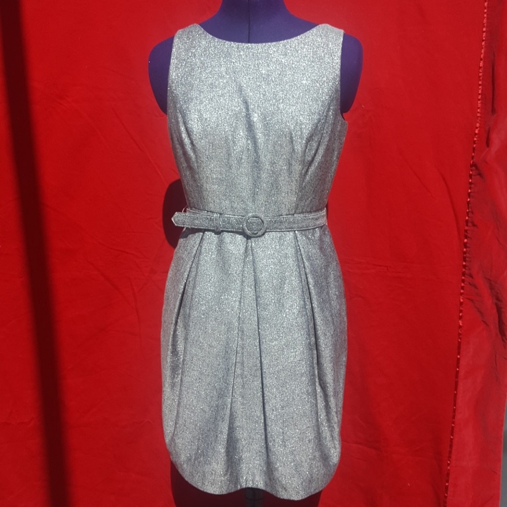 WHBM SILVER SHIMMER DRESS