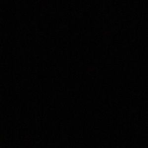 Meet your Posher, Shaun