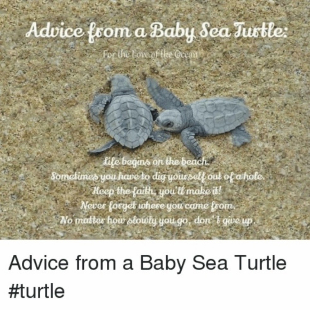 NWT, SS ring baby sea turtle ring, handmade by me - Picture 4 of 8